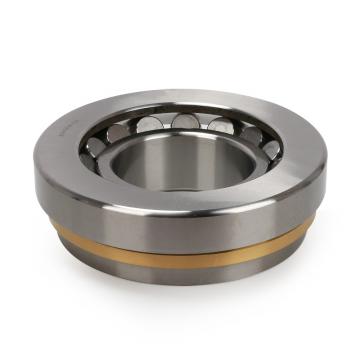 2.559 Inch | 65 Millimeter x 5.512 Inch | 140 Millimeter x 1.299 Inch | 33 Millimeter  CONSOLIDATED BEARING N-313 M  Cylindrical Roller Bearings