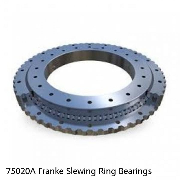 75020A Franke Slewing Ring Bearings