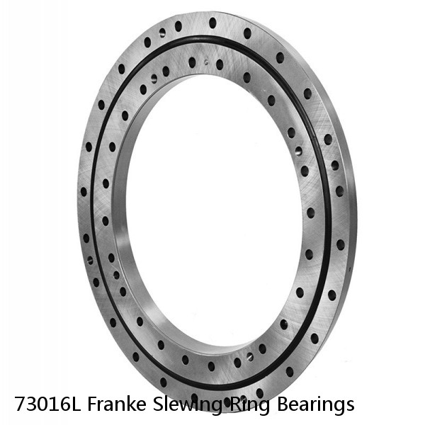 73016L Franke Slewing Ring Bearings #1 small image
