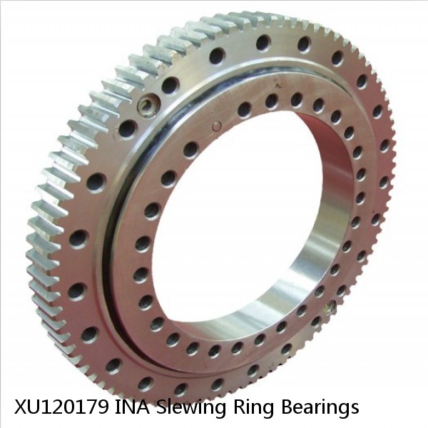 XU120179 INA Slewing Ring Bearings #1 small image