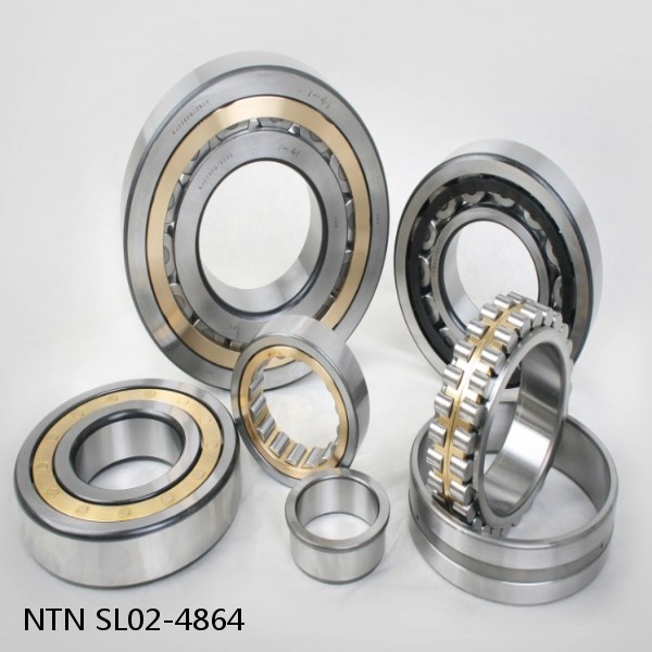SL02-4864 NTN Cylindrical Roller Bearing #1 small image