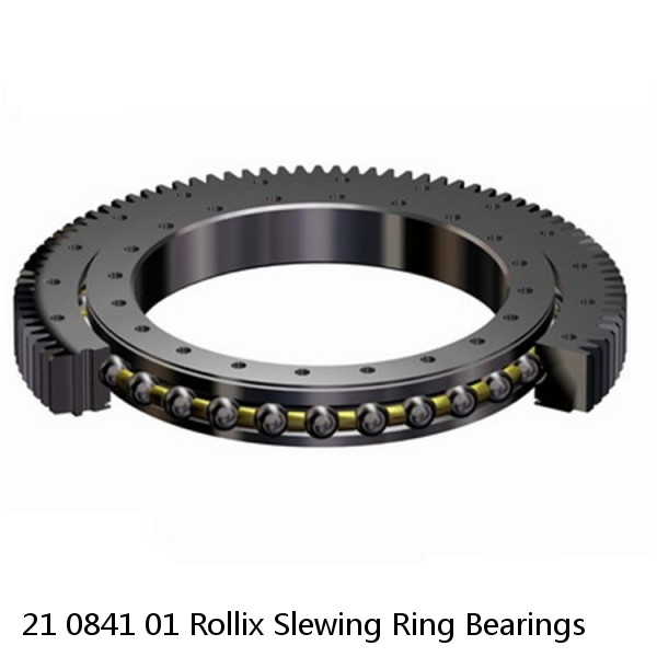 21 0841 01 Rollix Slewing Ring Bearings #1 image