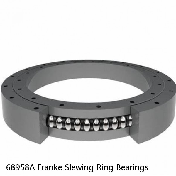 68958A Franke Slewing Ring Bearings #1 image