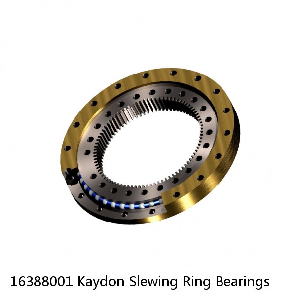 16388001 Kaydon Slewing Ring Bearings #1 image