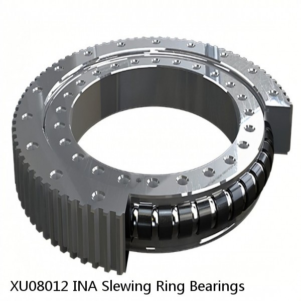 XU08012 INA Slewing Ring Bearings #1 image